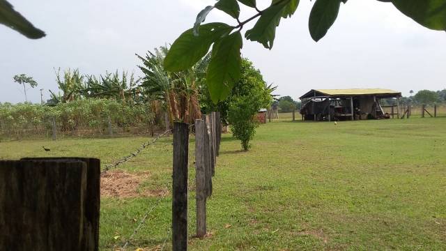 VENTA DE MAGNIFICA FINCA GANADERA EN GUACACIAS-VICHADA CON RIVERA AL RIO TOMO