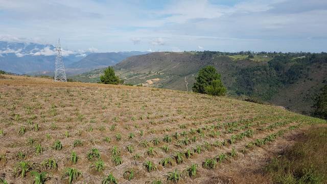 Venta de Terreno en la Mesa de Los Santos, zona de alta Valorizacion