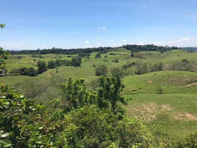 Parcelas en unidad Monte Dorado, Doradal