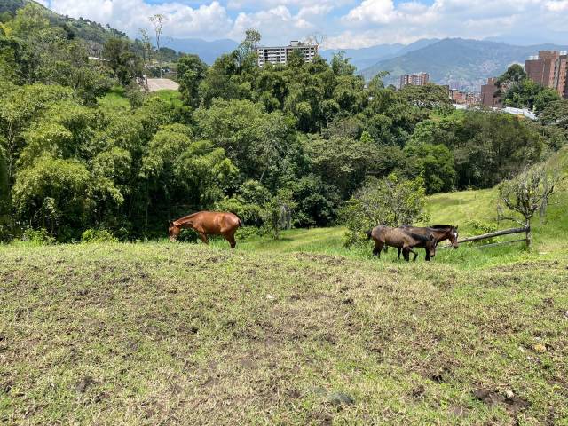 Venta de Pesebrera en Envigado, sector El Salado