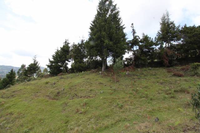 Lote en Guarne, vereda El Molino