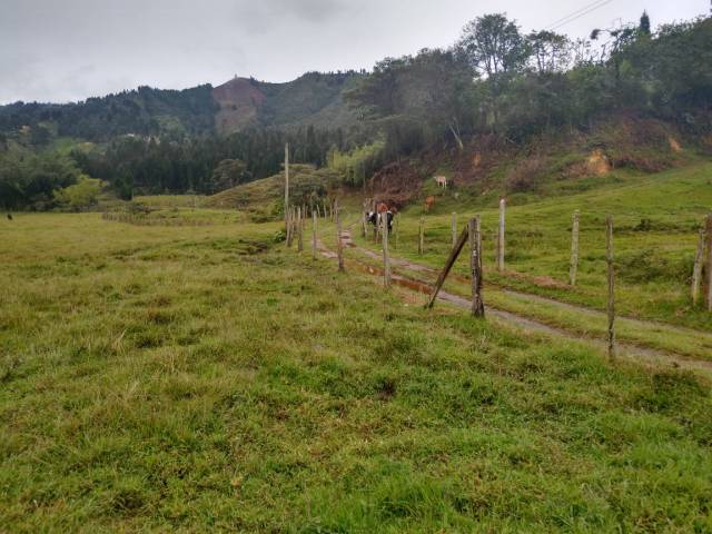 Lote en Guarne, vereda La Hondita