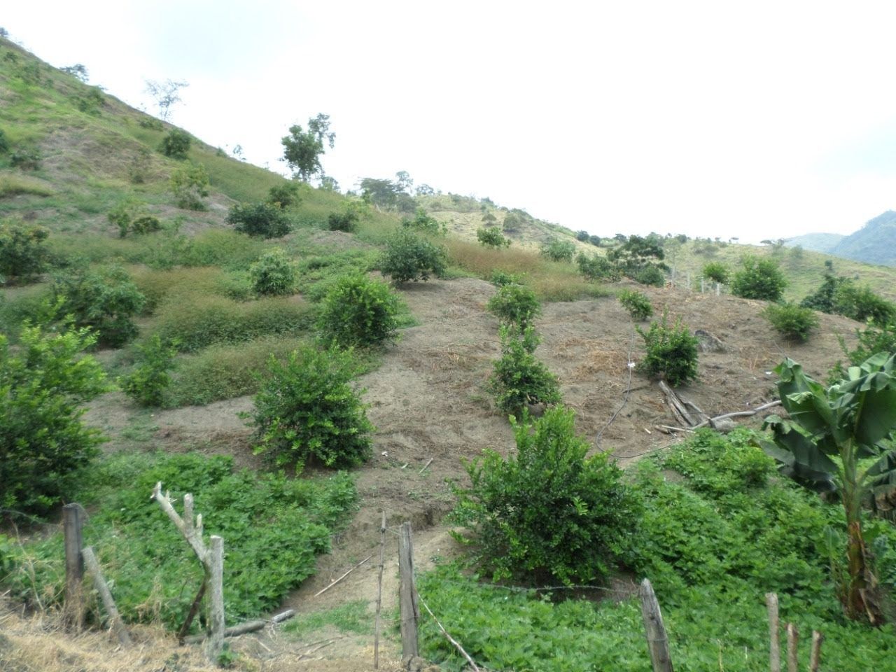 verinmuebles 19313 015 Con Nacimiento de AGUA