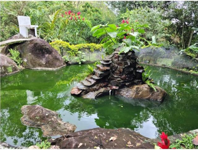 VENDO HERMOSA FINCA CON PISCINA CIUDAD BOLIVAR CERCA FARALLONES