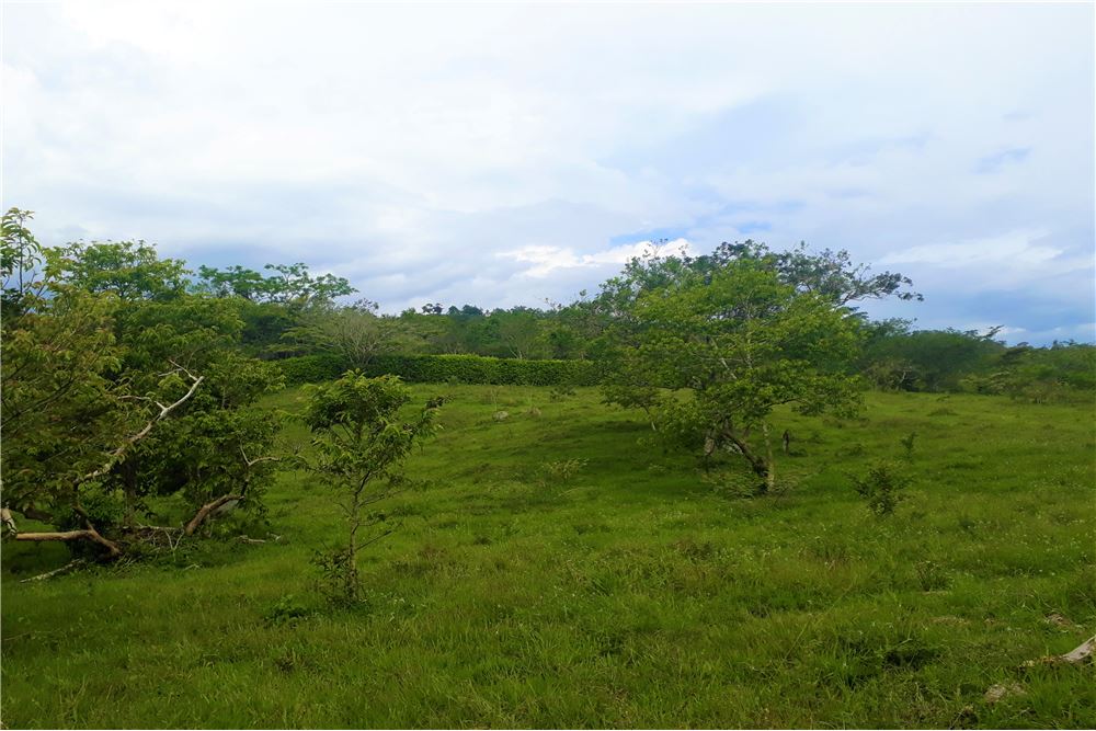 GRAN FINCA AGRÍCOLA Y GANADERA CON AGUA!