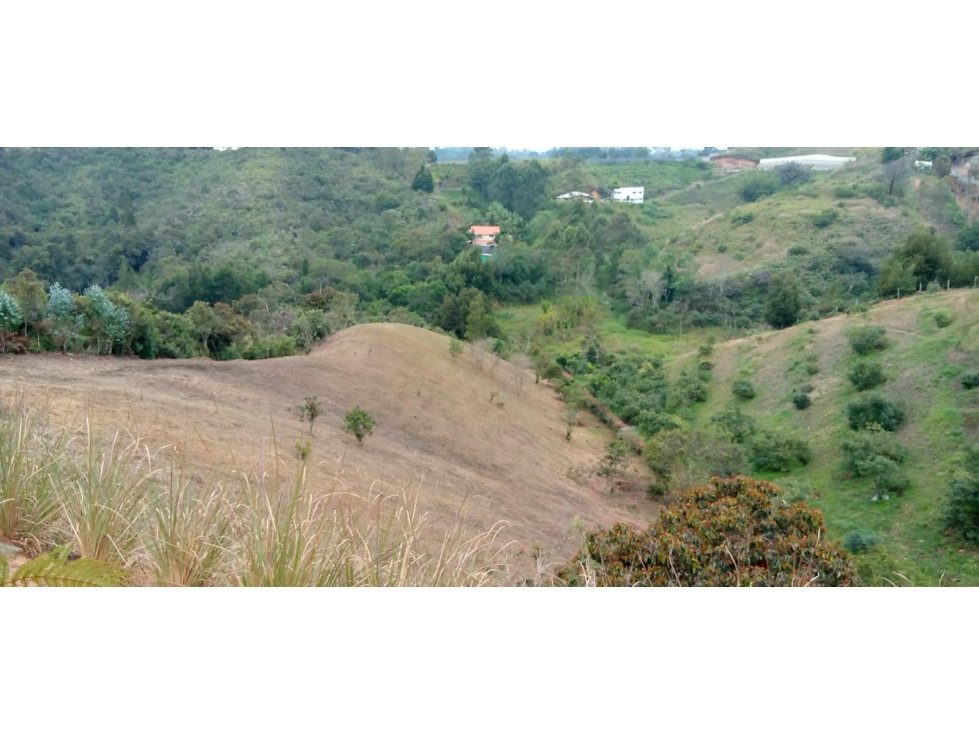 Finca para la Venta en Rionegro