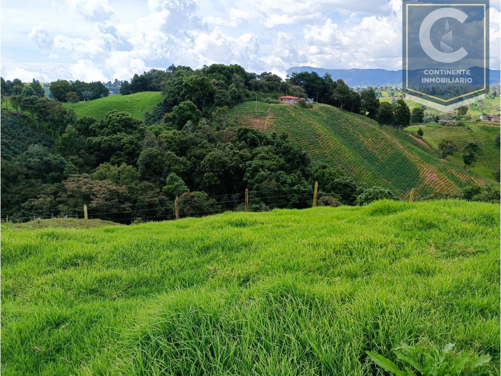 Venta Lote La Cuchilla San Pedro de los Milagros