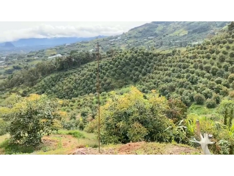 VENDO FINCA DE 70.000 mt2 PARCELABLE MÍNIMO 15 LOTES,EN EL PEÑOL, ANT.