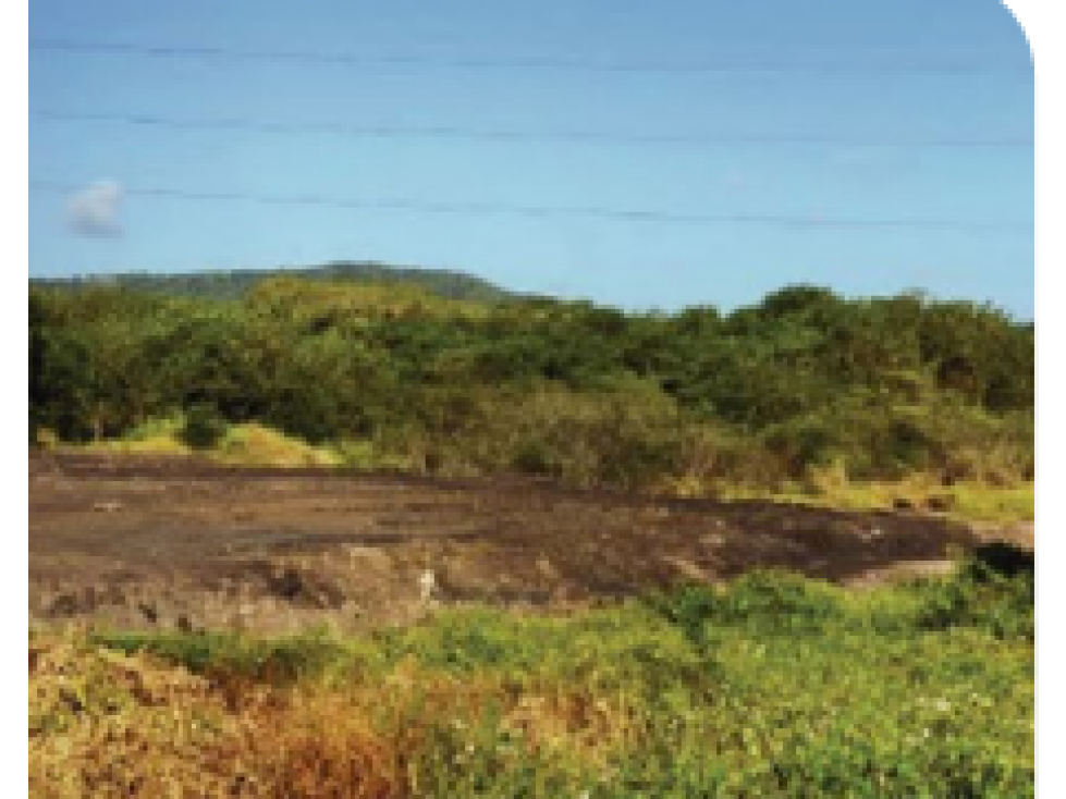 Lote - Villa Celia vía Juan Mina, Barranquilla