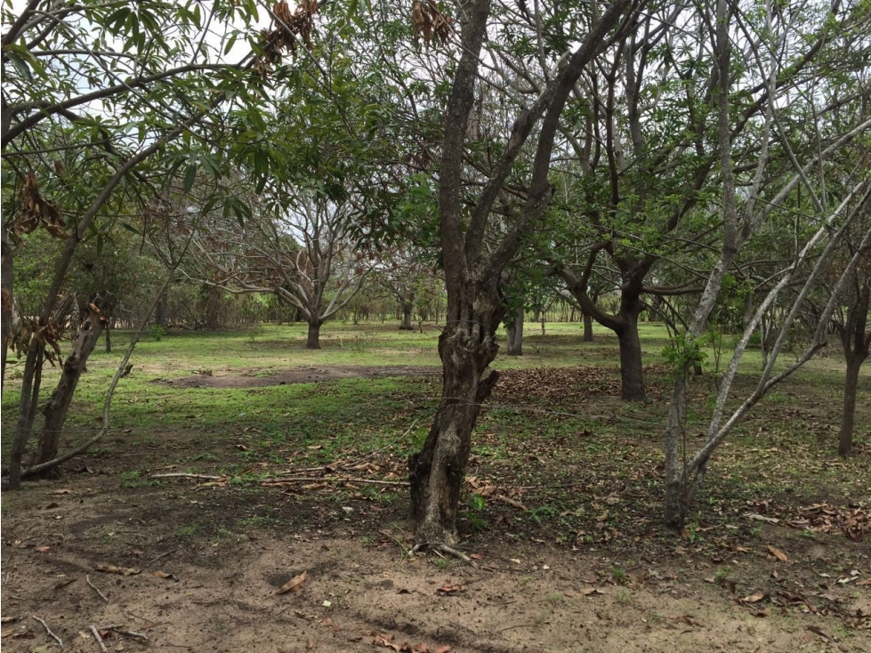 LOTE DE TERRENO EN VENTA - MALAMBO