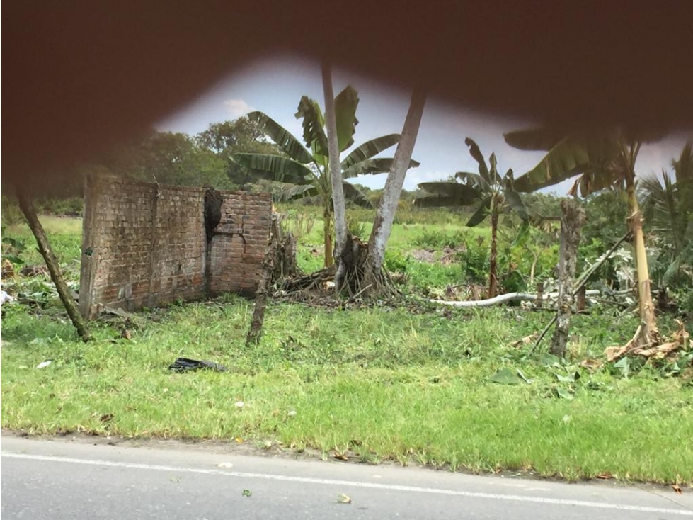 VENDO  LOTE  EN TUMACO  NARIÑO BUCHELI