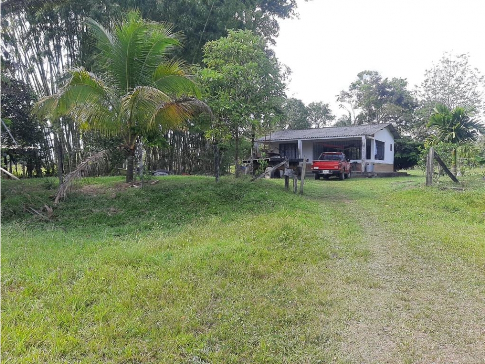 Venta ó permuta de finca en Villavicencio, vereda El Cocuy