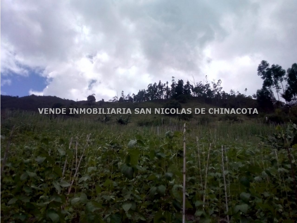 VENDO O PERMUTO FINCA GANADERA EN PAMPLONA