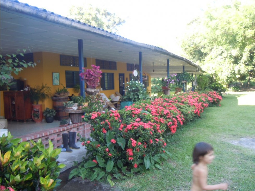 VENDO EXCELENTE FINCA GANADERA DE 200 HECTÁREAS EN EL MAGDALENA MEDIO