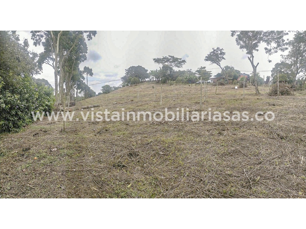 Venta Lote Entre Amenia y Montenegro, Quindío