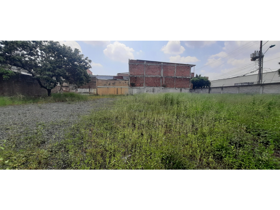 ALQUILER LOTE 750 MT2 VERSALLES CALI VALLE