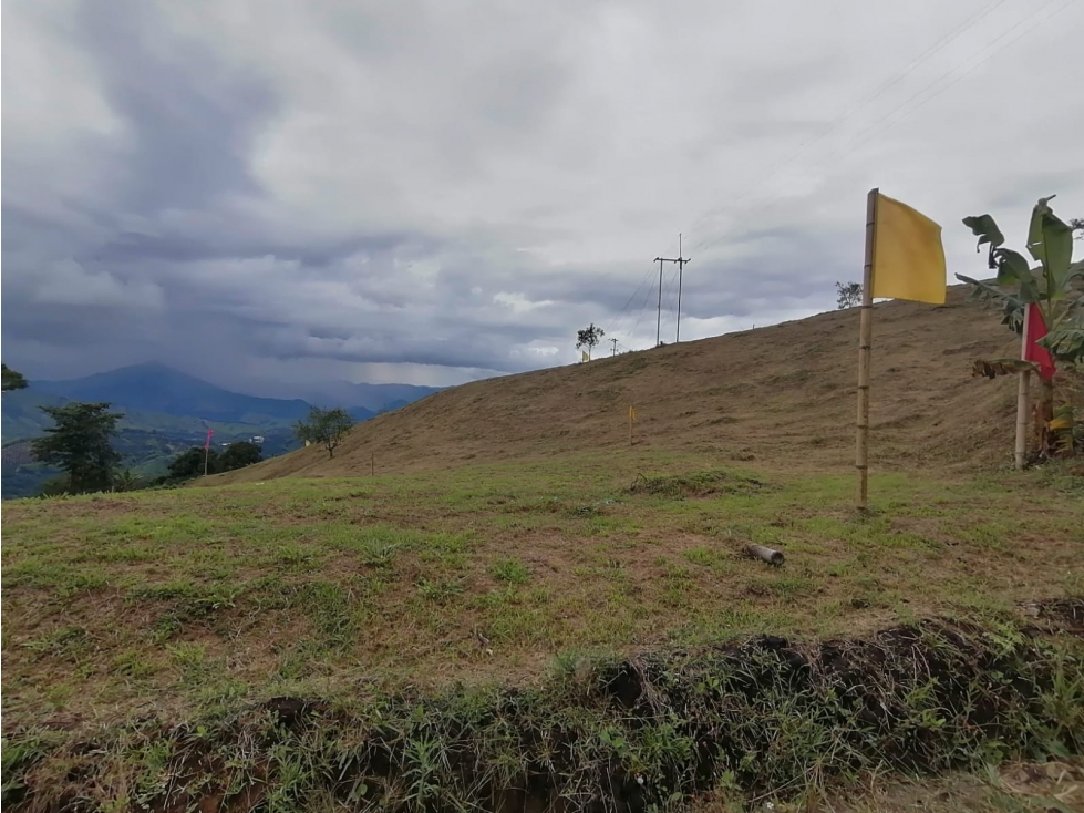 VENTA LOTE PALESTINA, CALDAS