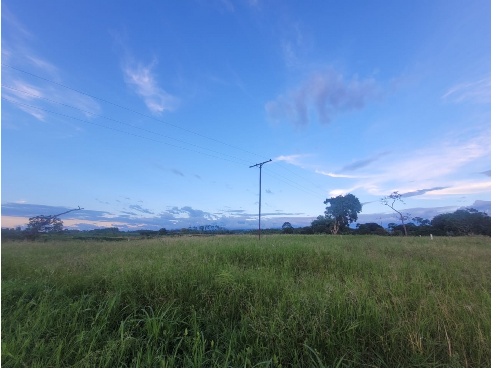 VENTA DE LOTES CERCA A QUIMBAYA QUINDIO