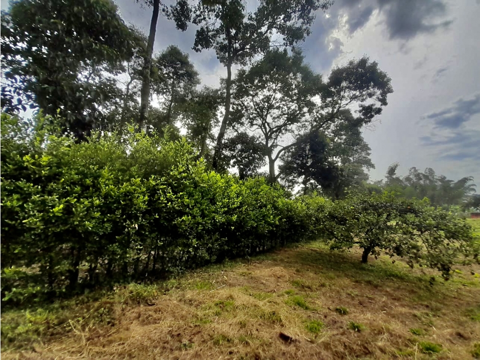 Se Vende Lote Circasia Quindío Campestre