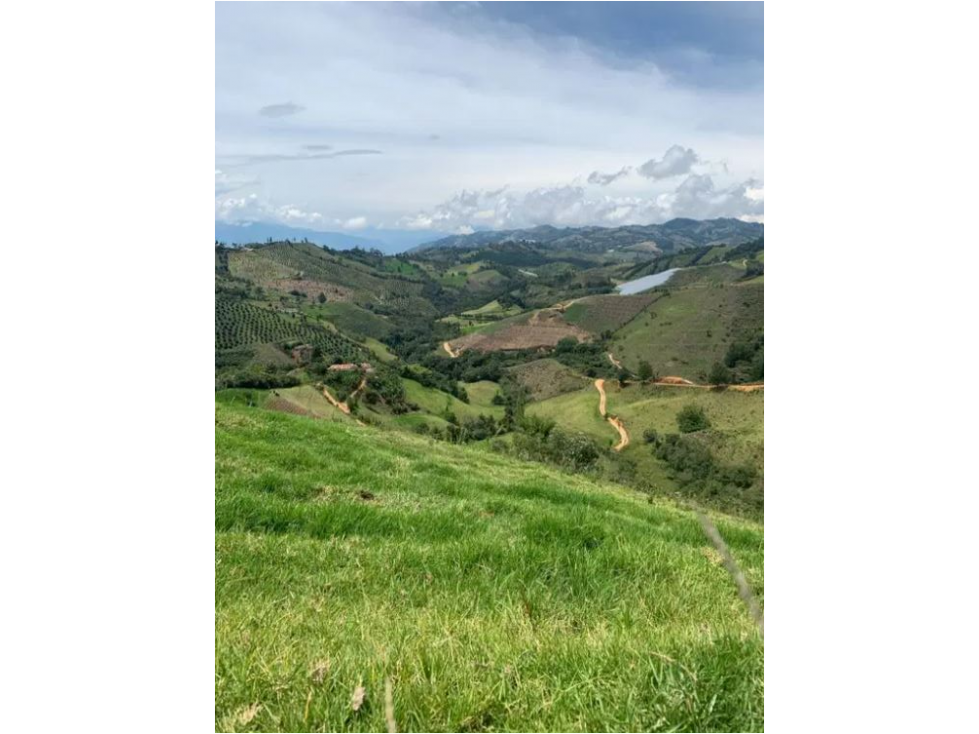 Venta de Finca Vereda San Antonio Abejorral