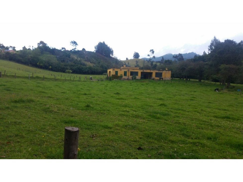 FINCA DE 12.5 FANEGADAS GUASCA