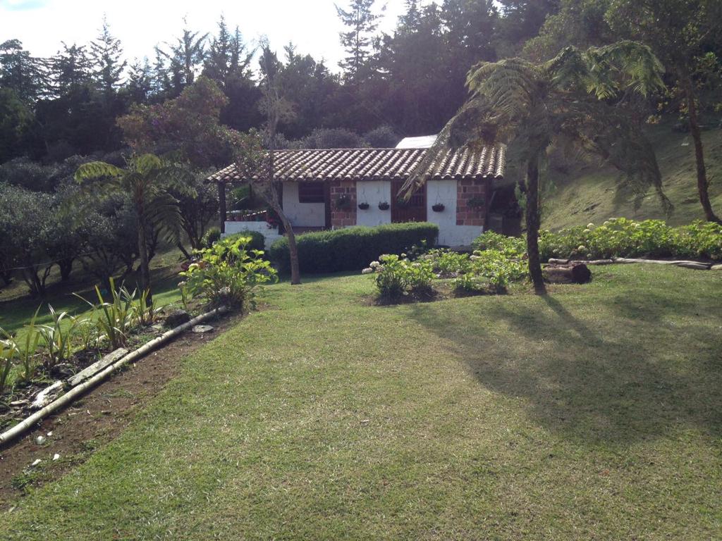 VENDO FINCA EN SANTA ELENA, VEREDA PANTANILLO