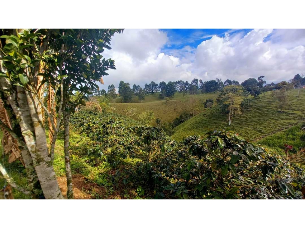 Finca chalet con vista y piscina para la venta a 8 km de filandia