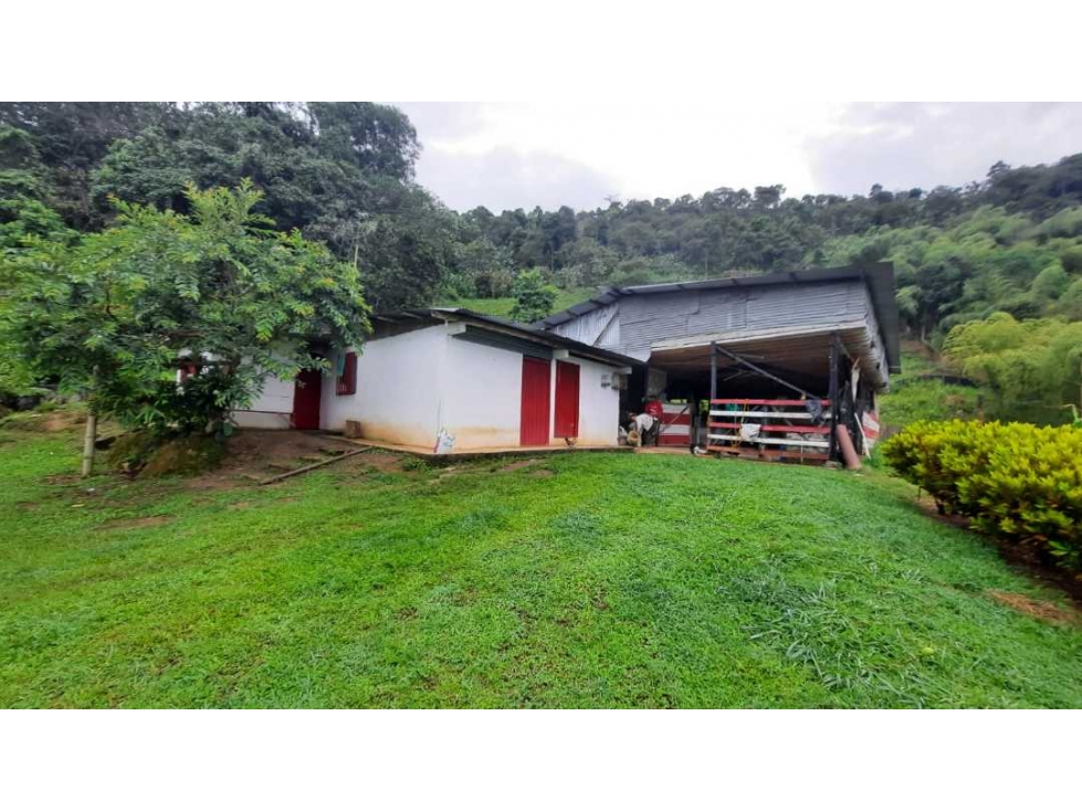 Finca productiva para la venta en San Isidro Valle 13 cuadras