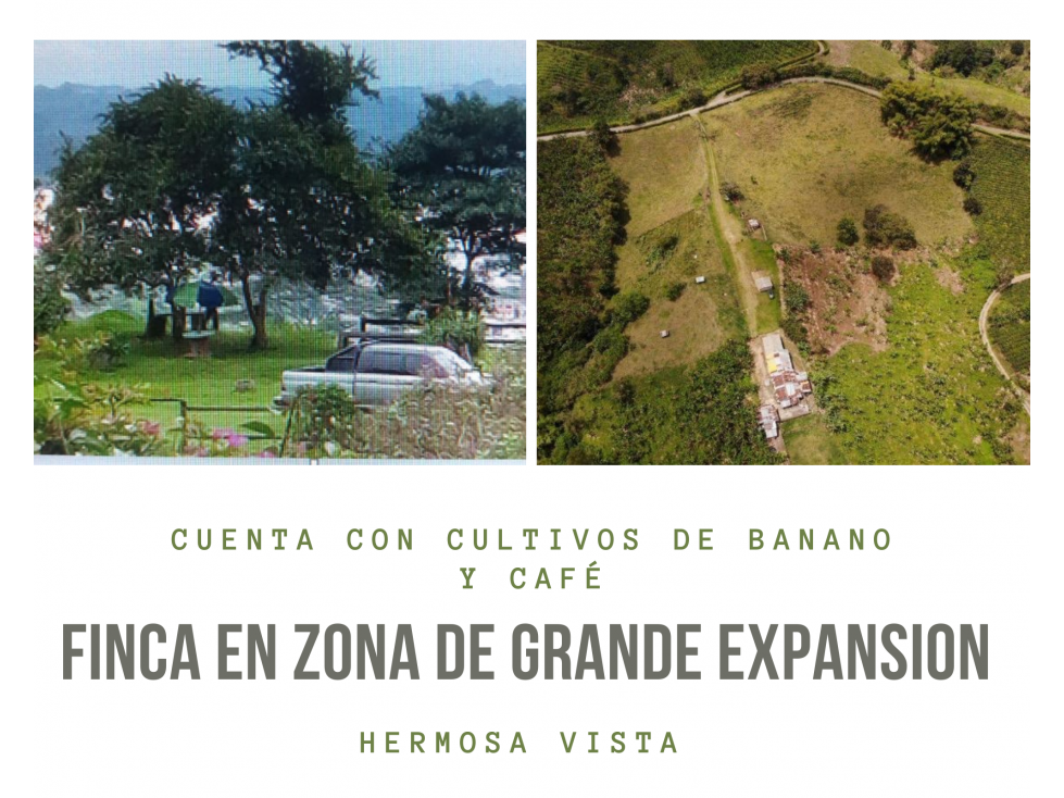 FINCA A LA VENTA CON CULTIVOS EN CASCO URBANO CALARCA 4818