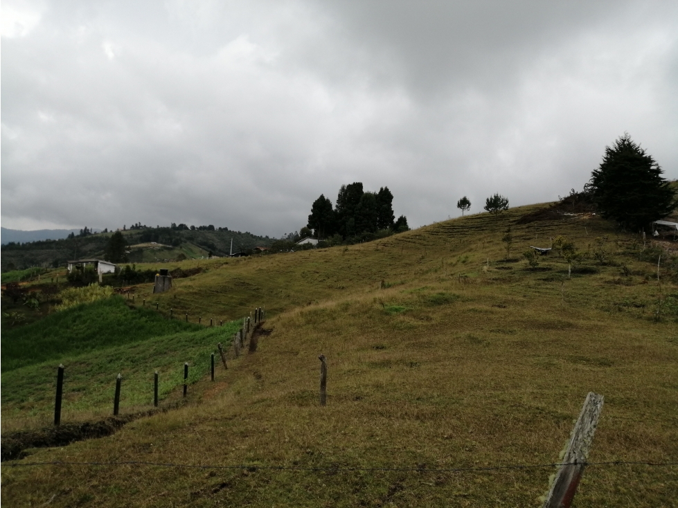 Lote en Venta Sector La Mejia - Guarne