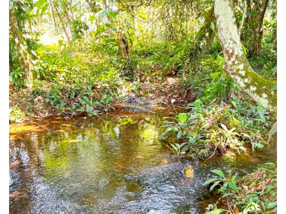 ?? Finca Agrícola y de Descanso En Venta En Guamal ??