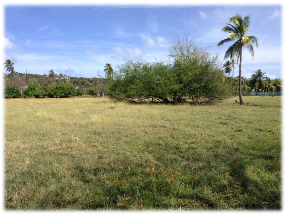 VENDO LOTE SAN ANDRES ISLAS COLOMBIA