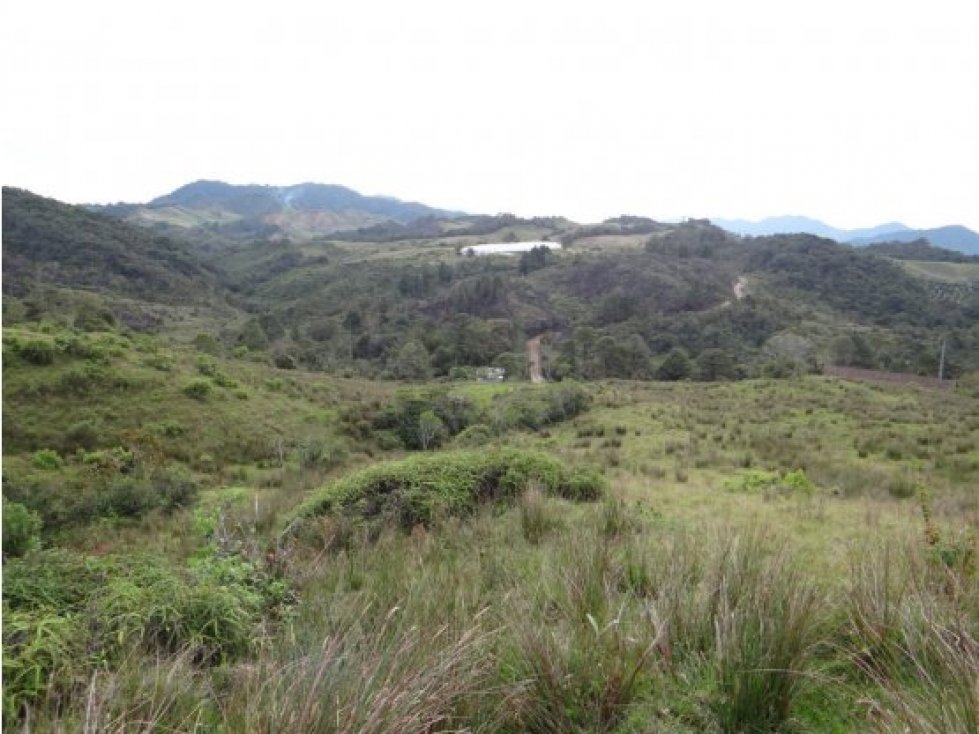 Finca en la unión Antioquia sector Mesopotamia 532 cu.(340 HA)