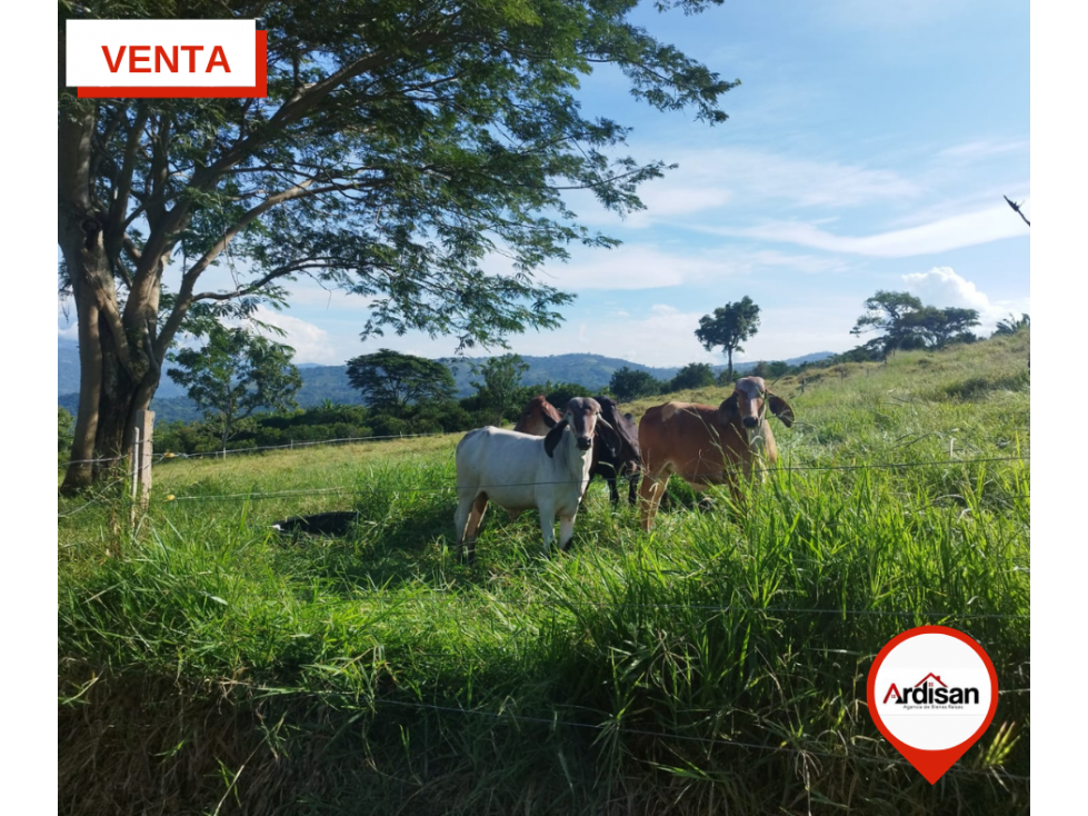 EXCELENTE TERRENO PLANO DE 1 HÉCTAREA.