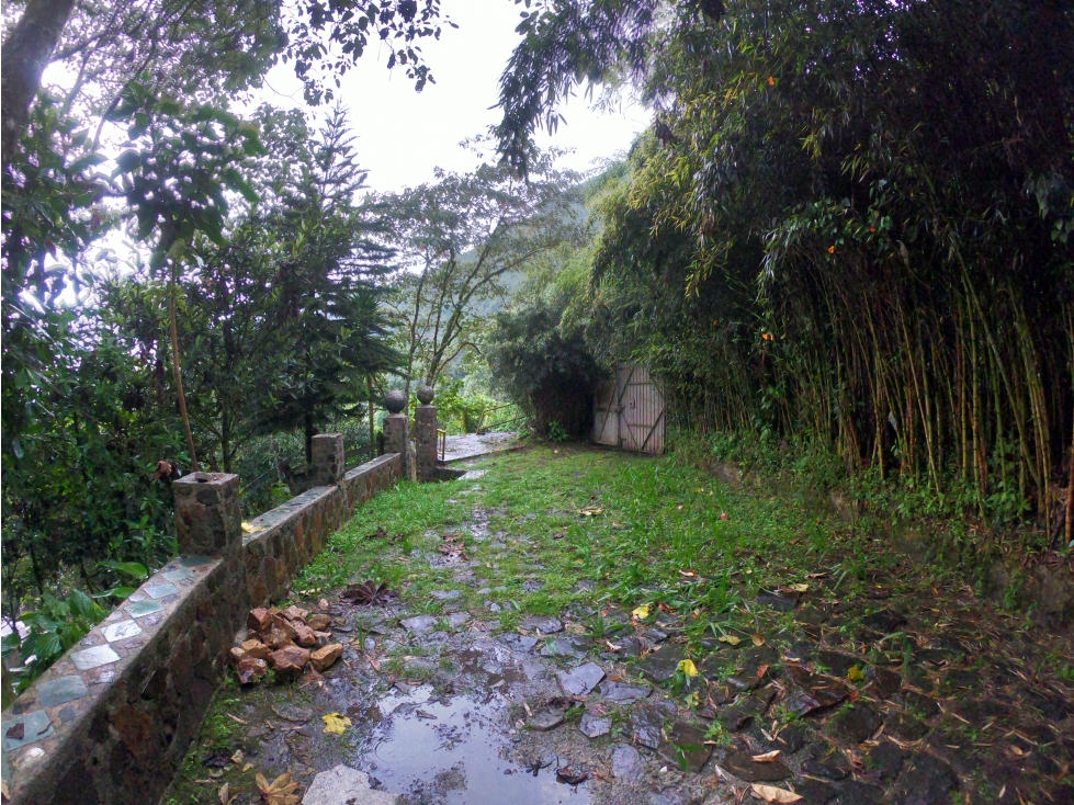 SE VENDE finca en Palmitas (Antioquia)