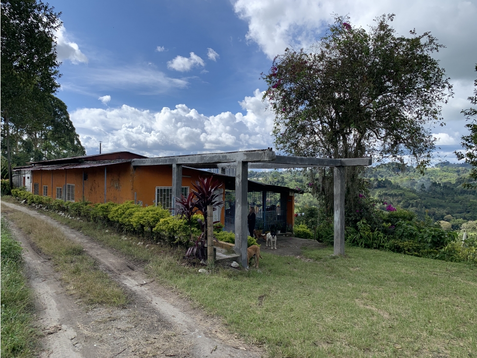 VENTA DE FINCA CAFETERA VEREDA CHAGUALÁ EN CALARCA