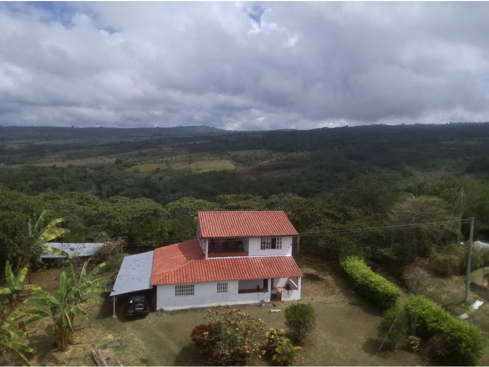 SE VENDE PARCELA DE CAFE ORGANICO A TAN SOLO 15 MINUTOS DEL SOCORRO