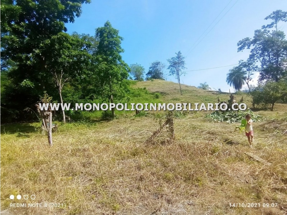 LOTE EN VENTA - SECTOR EL MORO, BETULIA COD: 24716