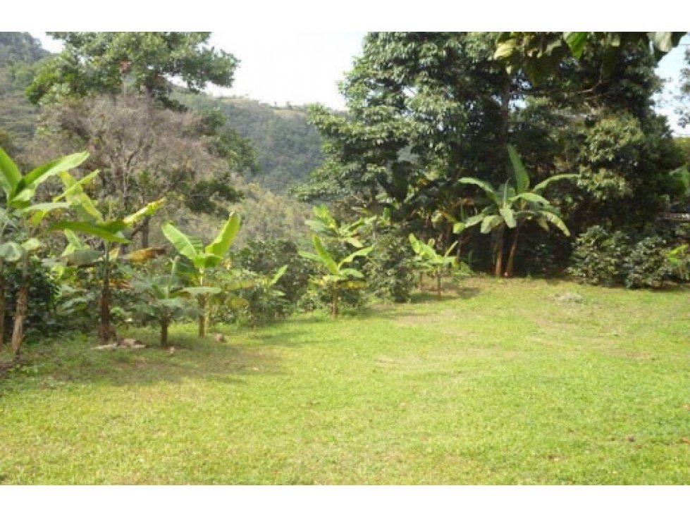 Maat vende finca en Villeta San Isidroi 12 Hectareas, $360 Millones