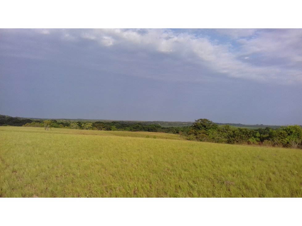 FINCA PEQUEÑA EN MEDIO DE LA INMENSIDAD DEL LLANO