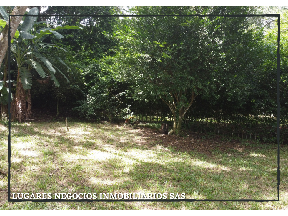 LOTE EN VENTA EN COND PRIV EN CARMEN DE APICALÁ TOLIMA 631 m2 (RURAL)