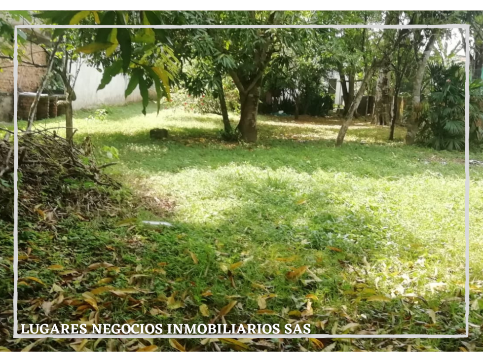 CASA LOTE EN VENTA DE 887 m2 EN CARMEN DE APICALÁ TOLIMA (URBANA)