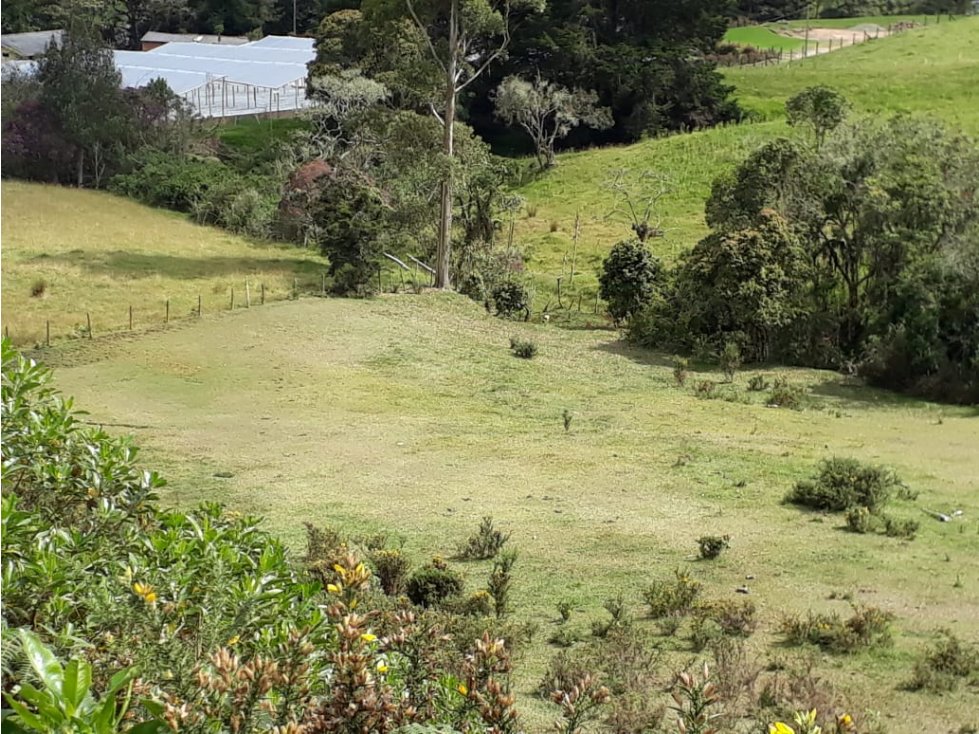 Lote Loma del Escobero, parte alta