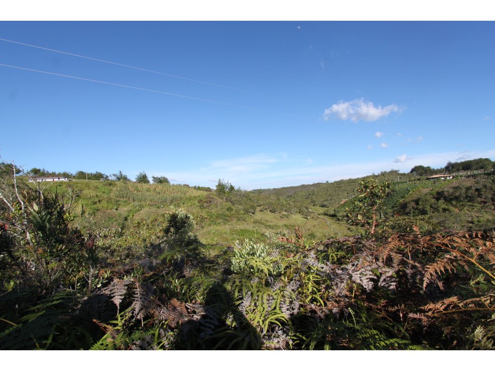 Venta de casa lote entre Guarne, Antioquia - Colombia.