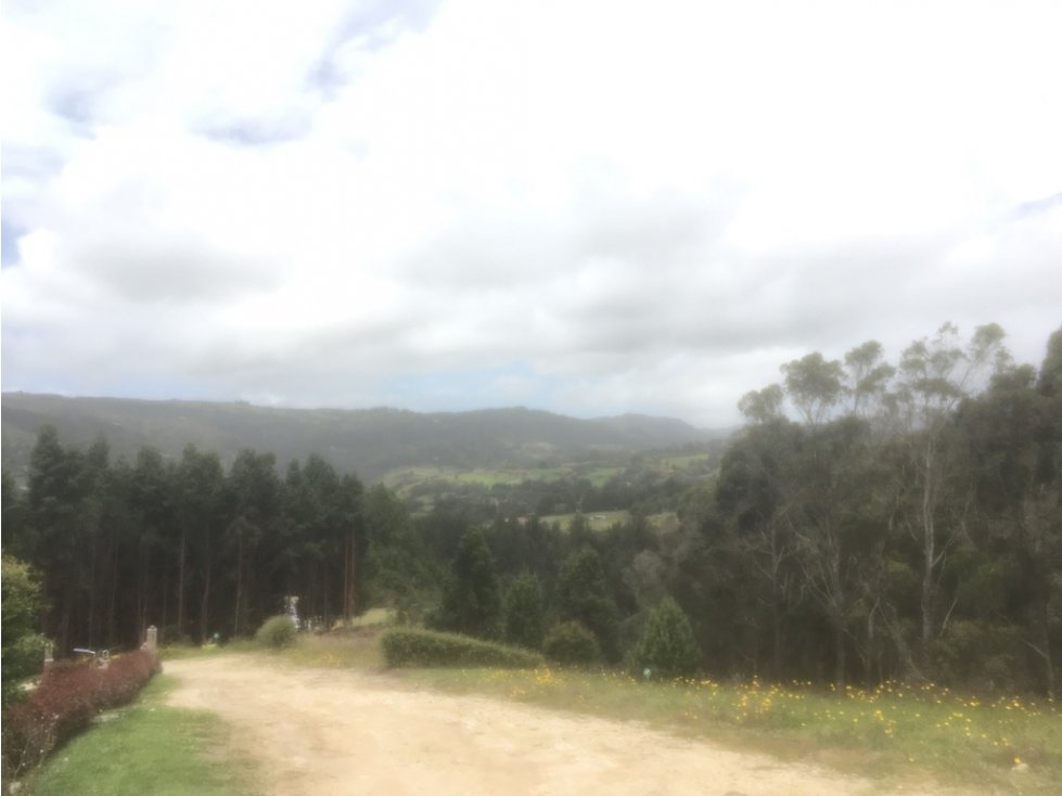 Vendo Lote de 2 hectáreas en vereda el Hato k7 vía la Calera Santiamén