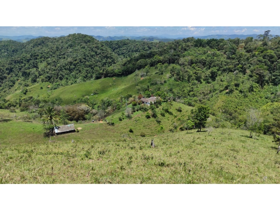 Venta Finca Vereda Santa Cruz Maceo Antioquia.