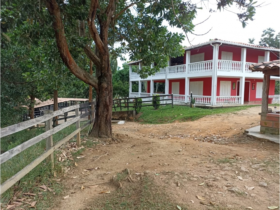 Venta Finca Vereda Las Brisas Maceo Antioquia.