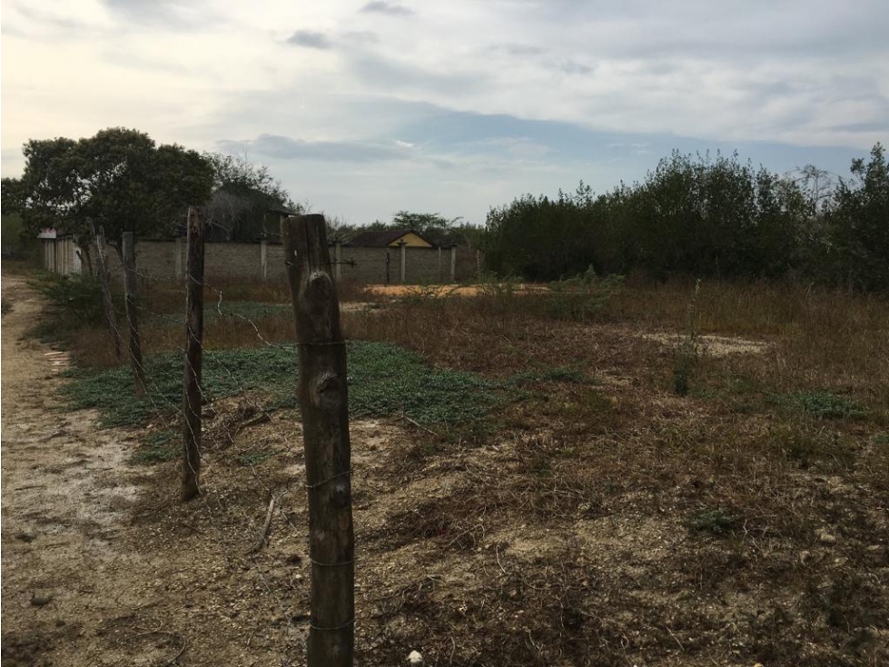 LOTE EN MANZANILLO DEL MAR/ URBANIZACION  VIOLINES DEL MAR