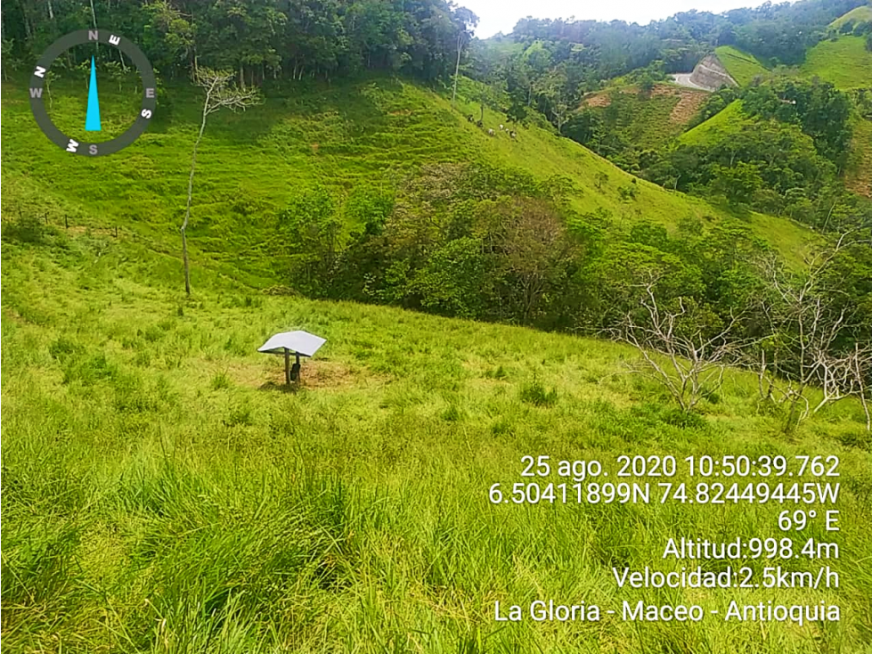 VENTA DE FINCA 18 HECTÁREAS EN SAN ROQUE ANTIOQUIA