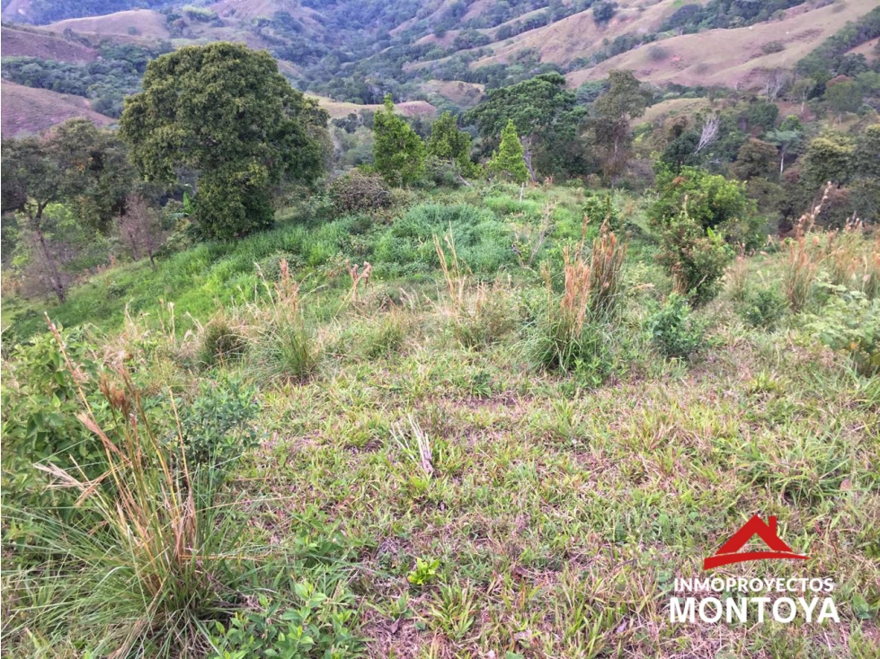 Finca en Marsella, Risaralda